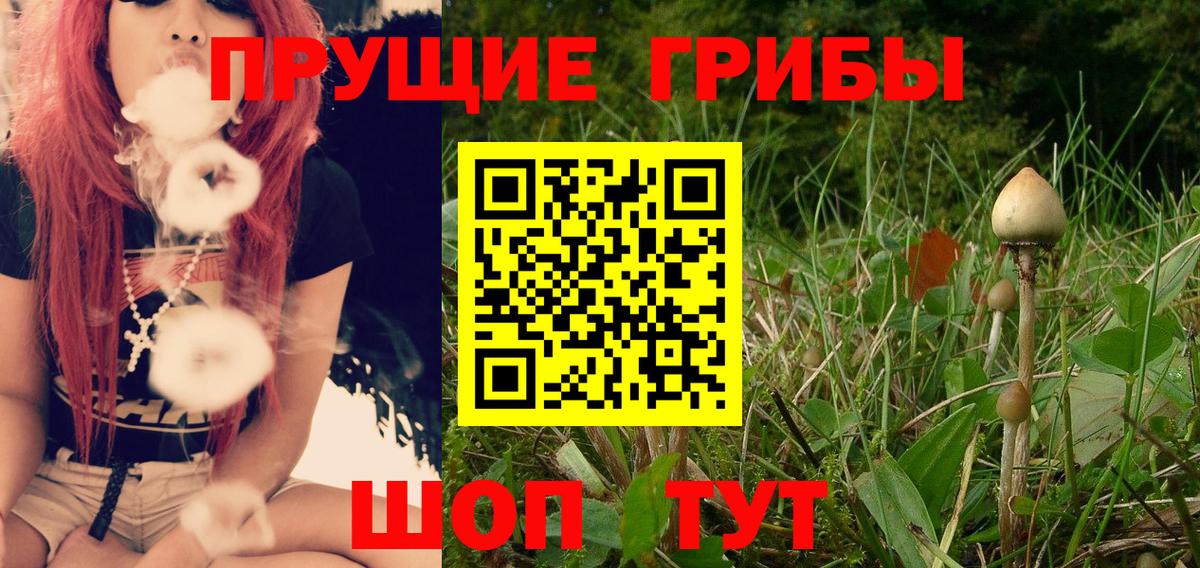 Псилоцибиновые грибы ЛСД Ипатово