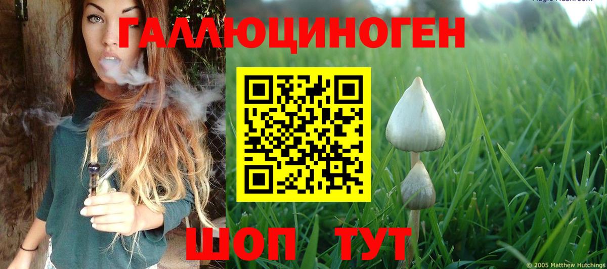 Ипатово  Псилоцибиновые грибы Cubensis  Вход с VPN 